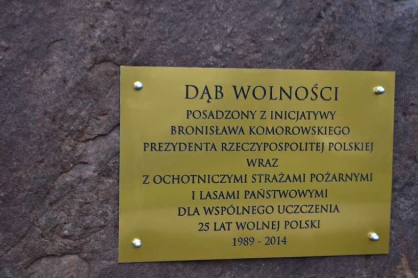 Dąb wolności posadzono i poświęcono w Parku Miejskim