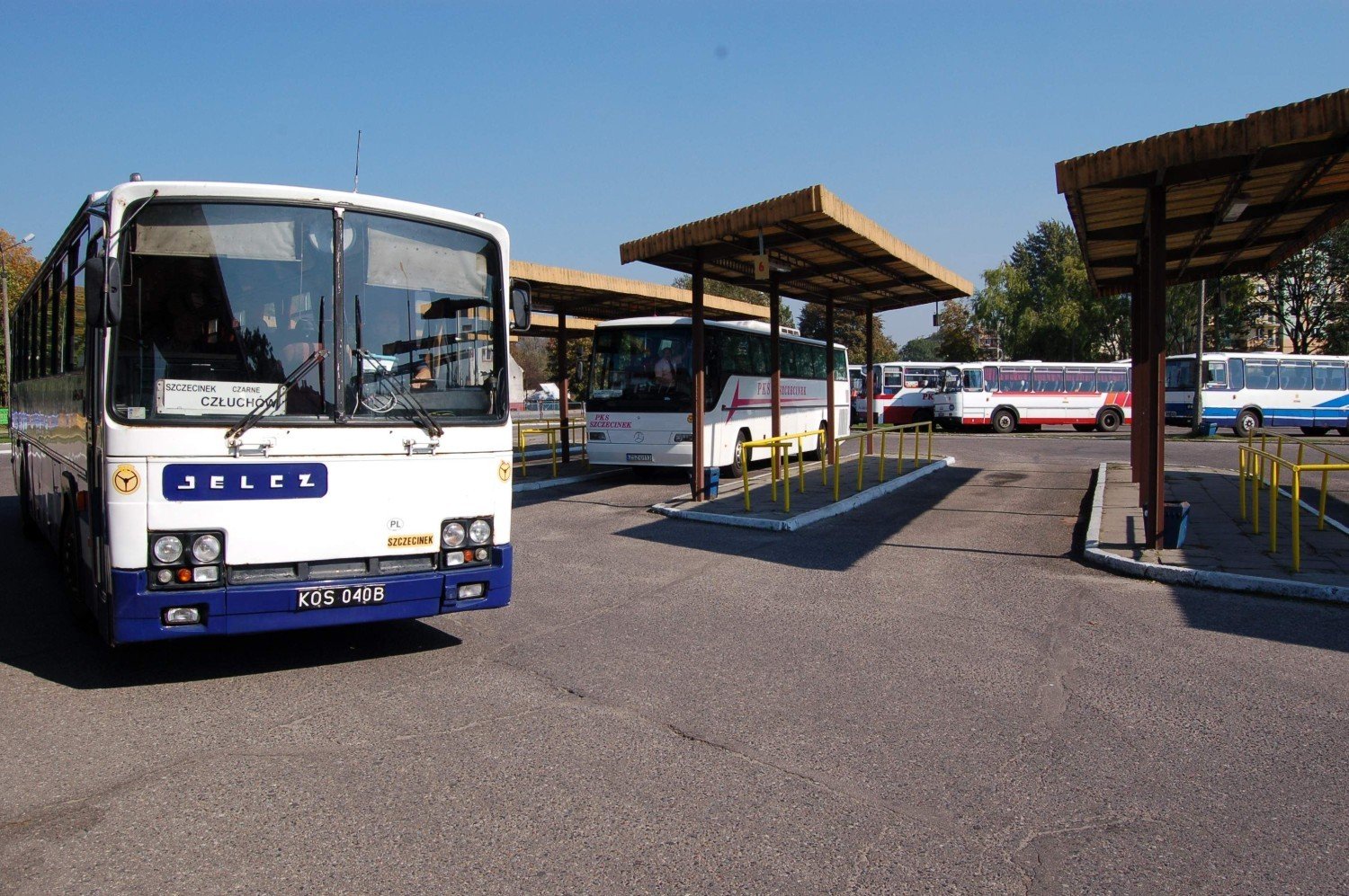 Autobus linii Szczecinek - Borne Sulinowo z dopłatą | Szczecinek Nasze  Miasto