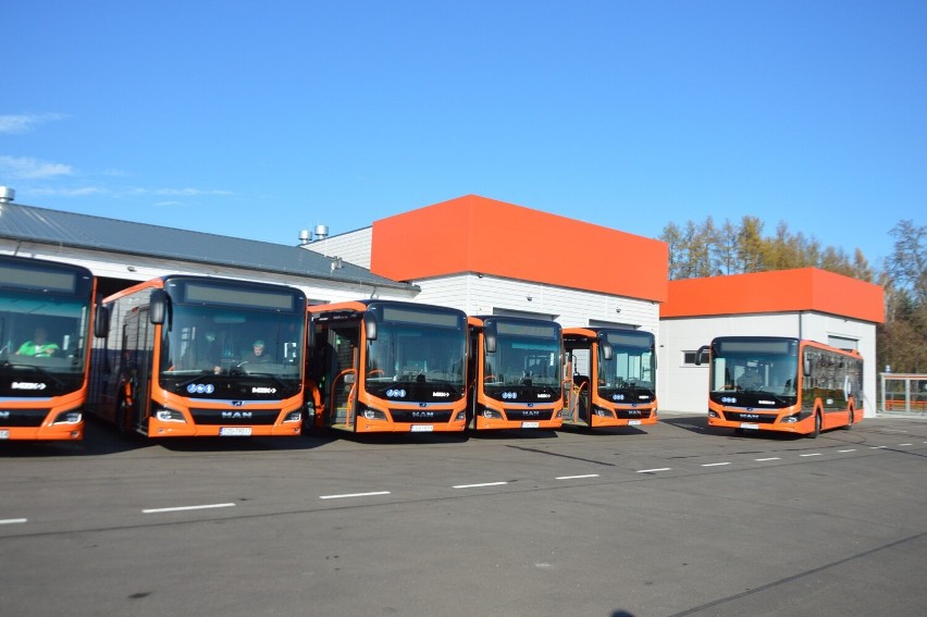 9 nowoczesnych autobusów miejskich jeździ po Ostrowcu. Są nowoczesne i ekologiczne. Zobacz zdjęcia
