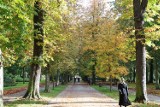 Piękna jesień w kieleckim parku. To idealne miejsce do spacerów. Zobacz zdjęcia