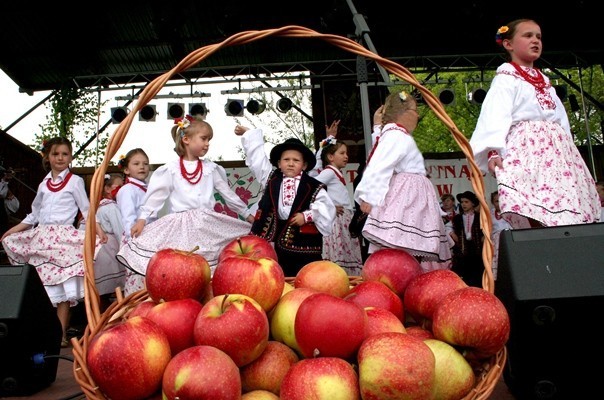 Estradą zawładną m.in. regionalne zespoły pieśni i tańca ludowego działające w gminie Łososina Dolna