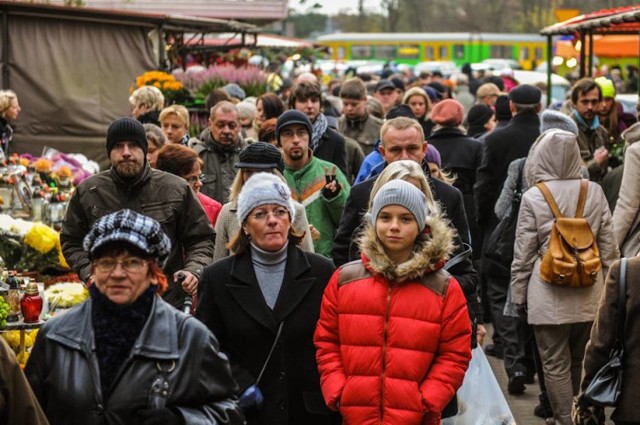 Komunikacja miejska w Poznaniu - zobacz więcej