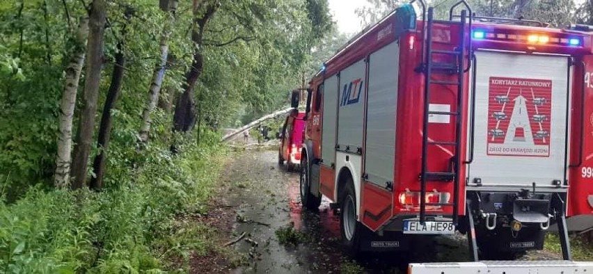 Tak strażacy usuwali skutki nawałnicy w Zduńskiej Woli, Łasku i gminach naszych powiatów ZDJĘCIA