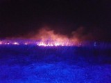 Gmina Oświęcim. Zaczęły się podpalenia łąk i nieużytków