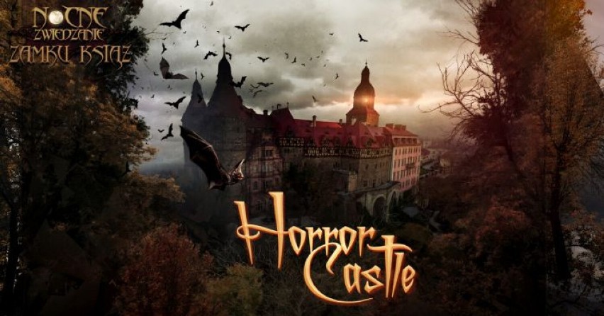 Zamek Książ: Nocne zwiedzanie - Horror Castle  Wejścia 25 lutego od 19:30. Wejdź do zapomnianego zamku położonego pośrodku ciemnego lasu...