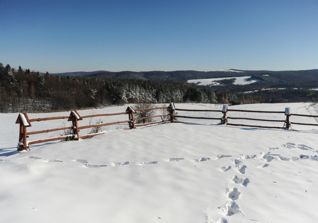 Na Pogórzu Przemyskim zalega sporo śniegu. Zobaczcie zdjęcia z Cisowej, oddalonej kilkanaście kilometrów od miasta.

