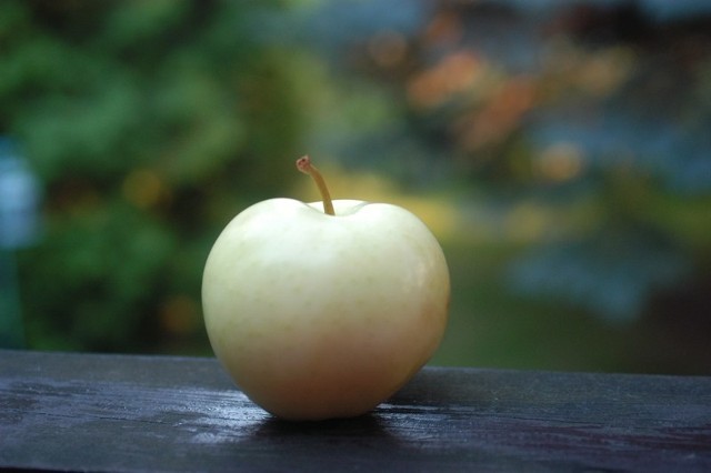 Jabłko i inne owoce będą mogli wykonać z papieru uczestnicy warsztatów