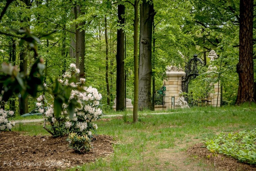 Teren wokół Mauzoleum Hochbergów w Książu wypiękniał – jest jak za czasów księżnej Daisy