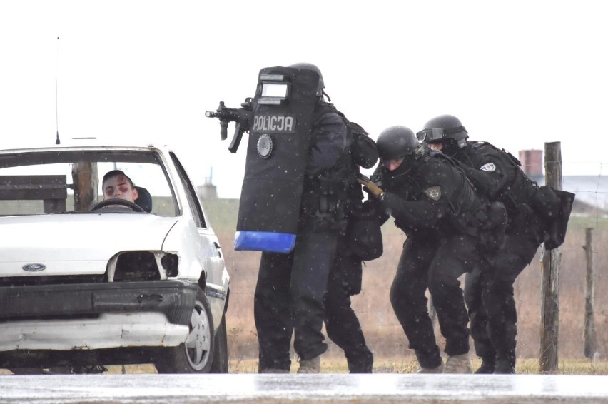 We wtorek tucholanie  mogli oglądać sceny, jak na filmach...