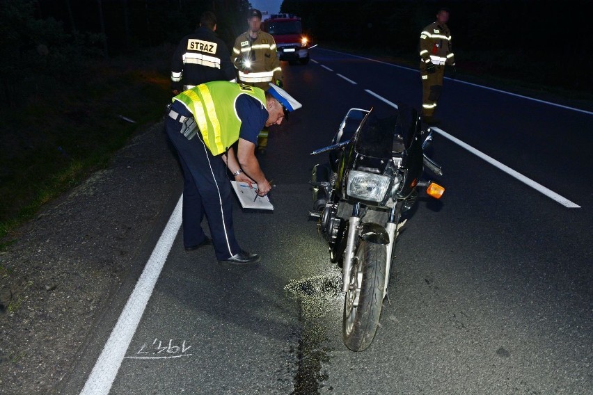 Tragiczny wypadek motocyklisty między Brynkiem a Strzybnicą. Uderzyli w sarnę, zginęli na miejscu