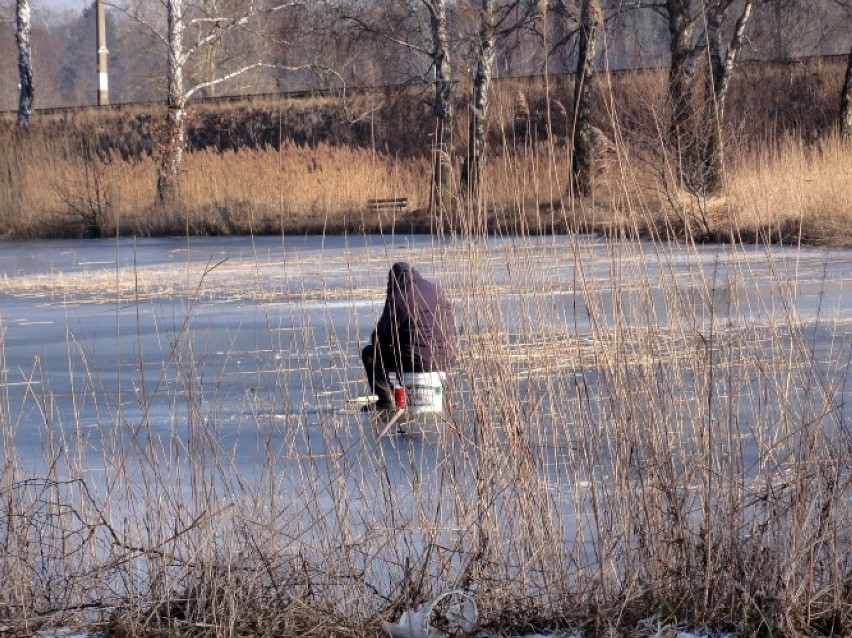 Sławno