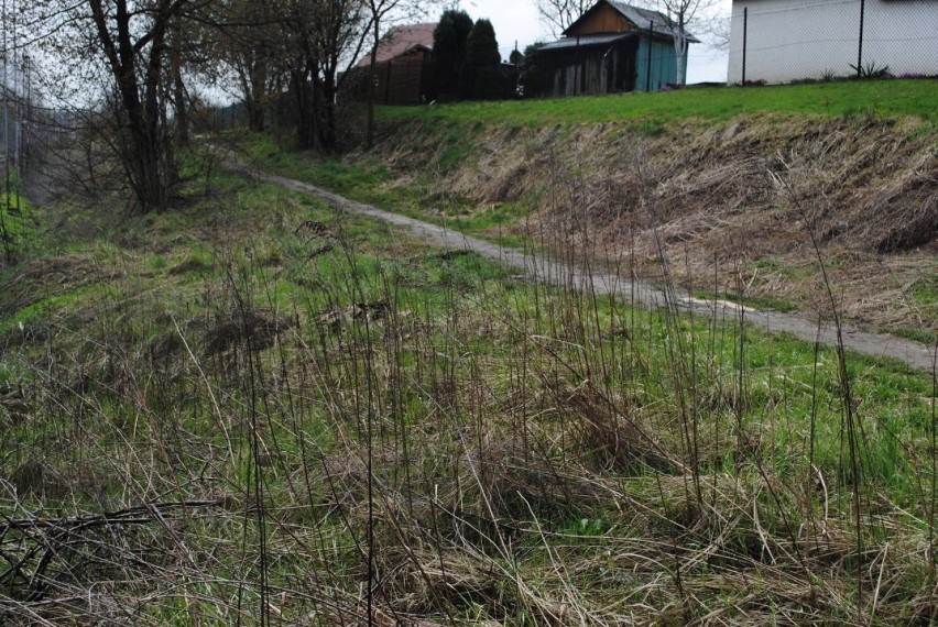 W Radlinie Dzień Ziemi uczczono... sprzątaniem kawałka...