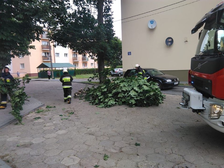 Żuławy i Mierzeja. Dała już znać o sobie zmiana pogody....