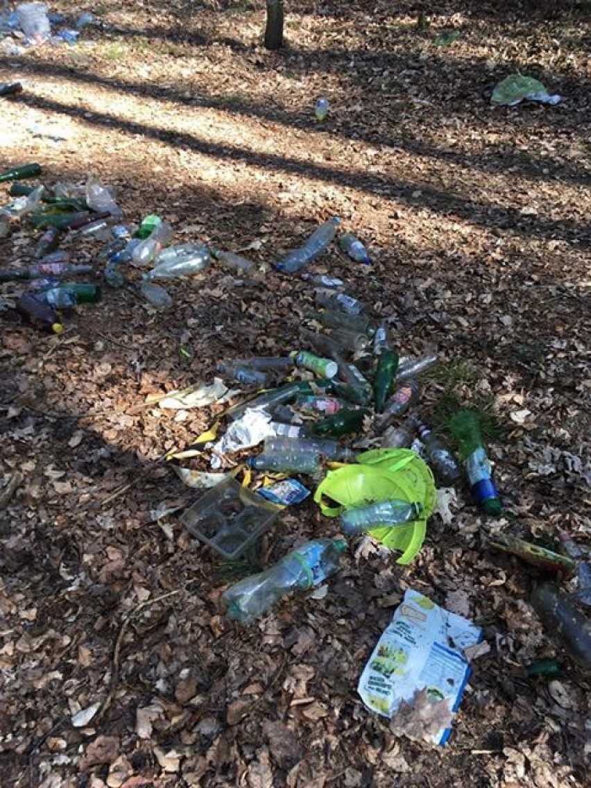 Mnóstwo śmieci w lesie pod Goleniowem. Kto tak nabałaganił?