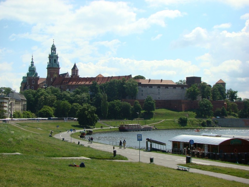Widok na Wawel.