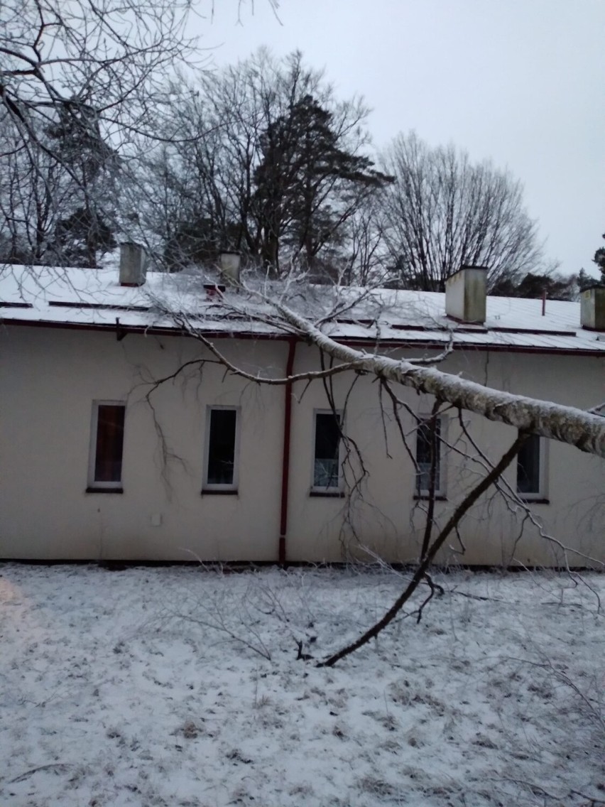 Skutki wichury w powiecie kartuskim - strażacy interweniowali 32 razy