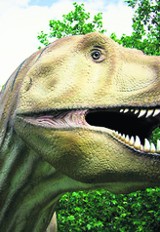 Gdańsk: Wystawa Dinozaurów
