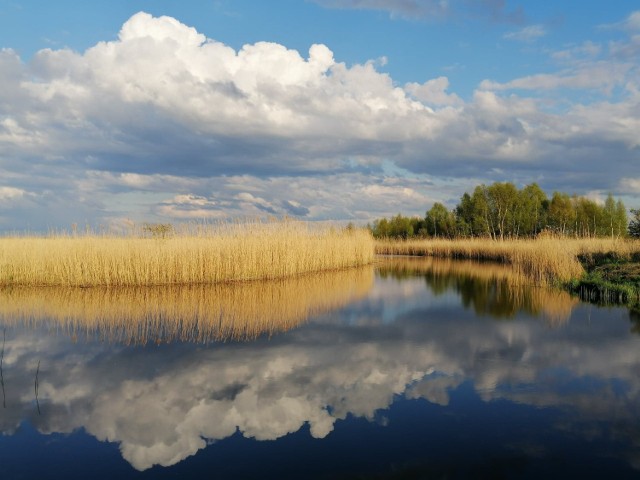 Jezioro Resko Przymorskie