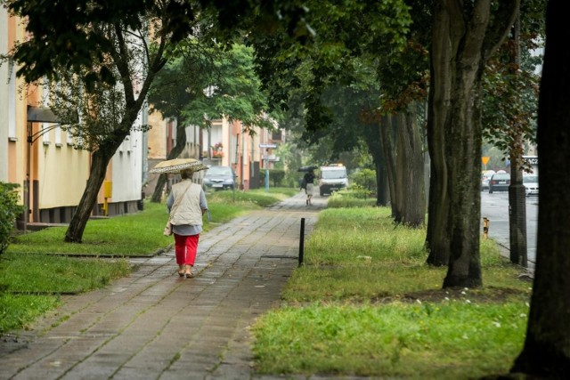 Starsi mieszkańcy osiedla Leśnego w Bydgoszczy skarżą się na brak ławeczek i zniszczone chodniki.
