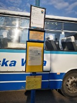 Dopłaty do przywracanych połączeń autobusowych. Urząd wojewódzki przyjmuje wnioski 