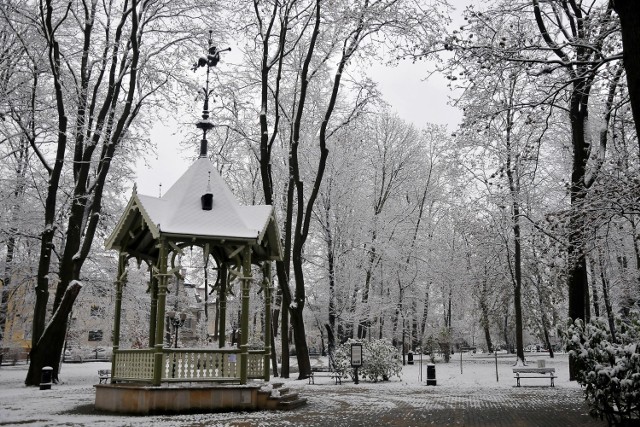 Pierwszy śnieg w Jaśle.