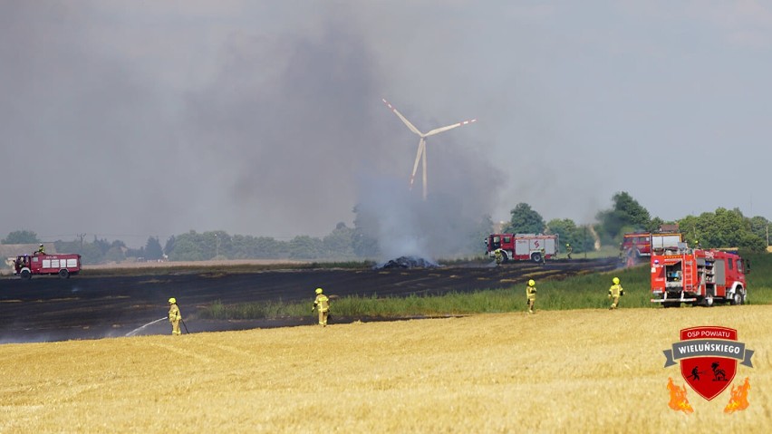 Cztery jednostki OSP gasiły pożar ścierniska i obornika w...