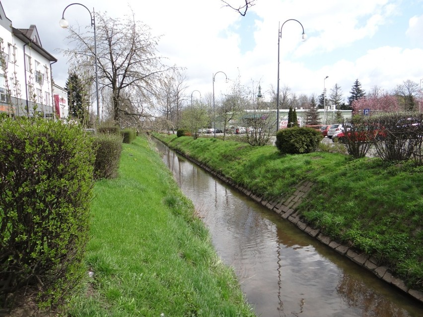 Przebudowa rzeki Radomki w Radomsku coraz bliżej. Miasto podpisze porozumienie w Wodami Polskimi
