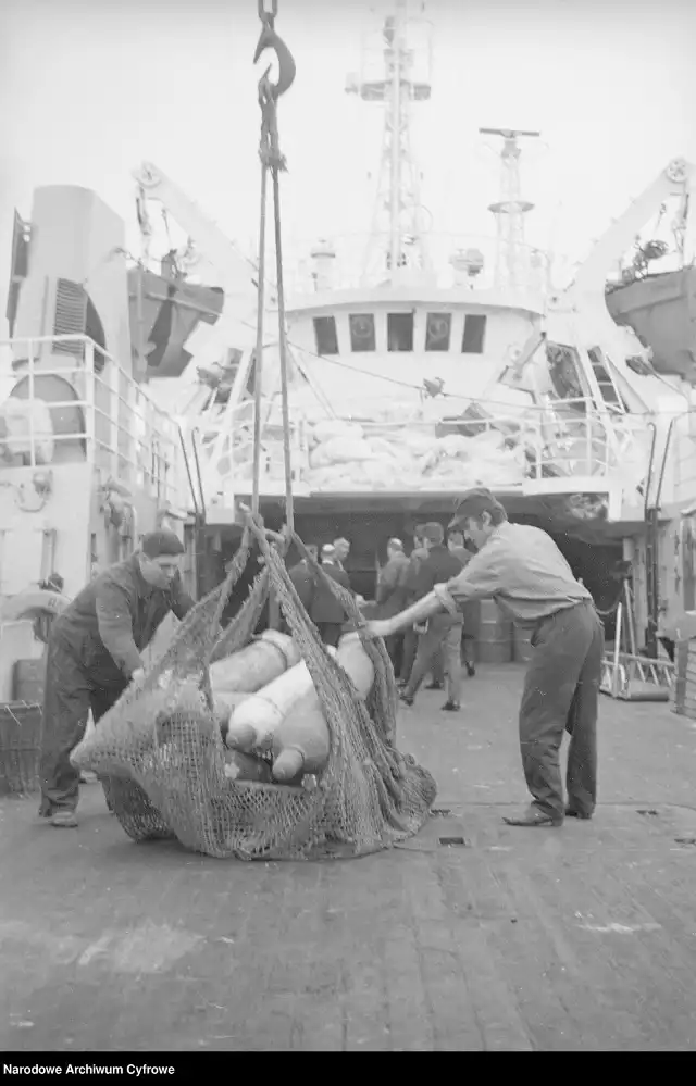 Marynarze ze Świnoujścia na trawlerach rybackich "Odry". Widzicie znajomego? Przy okazji można sobie przypomnieć, jak wyglądały trawlery rybackie należące do Przedsiębiorstwa Połowów Dalekomorskich i Usług Rybackich "Odra" w Świnoujściu. Zdjęcia robiono w 1969 roku.