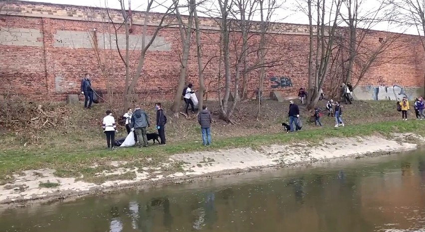 Operacja Czysta Rzeka. Akcja sprzątania terenów nadrzecznych po raz drugi w Legnicy