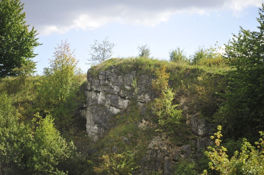 Wielki park na terenie wartym 150 mln zł? Urzędnicy walczą w sądzie