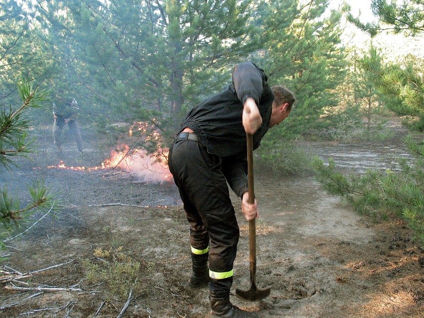 Pożary lasów na Mazowszu