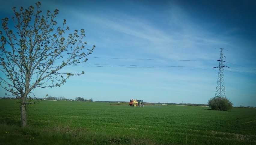 Rolnicy w powiecie puckim są (niemal) milionerami. Chcesz kupić przeciętne pomorskie gospodarstwo? Szykuj minimum 900 tysięcy złotych