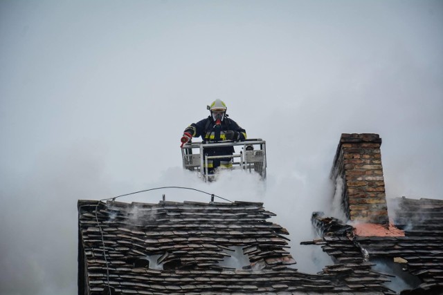 Do groźnego pożaru doszło w wtorek, 23 stycznia w Kamieniu Wielkim (to wieś leżąca w gminie Witnica). Ogień wybuchł na poddaszu, spaleniu uległa więźba dachowa. Z płomieniami walczyło dziewięć zastępów strażaków zawodowych i ochotników.
-&nbsp;Zgłoszenie o pożarze 3-piętrowego budynku otrzymaliśmy o godzinie 11.25. Ogień objął powierzchnię około 20 metrów kwadratowych dachu, paliła się jedna trzecia poddasza - mówi Bartłomiej Mądry, rzecznik prasowy Komendy Miejskiej Państwowej Straży Pożarnej w Gorzowie Wlkp.

W chwili, gdy wybuchł pożar, w budynku znajdowało się osiem osób. Sześć z nich opuściło swoje mieszkania o własnych siłach jeszcze przed przyjazdem strażaków. Dwóch mieszkańców ewakuowali strażacy. W sumie w budynku znajdowało się osiem mieszkań, w tym dwa pustostany. 
-&nbsp;Na miejsce zadysponowano osiem zastępów strażaków - mówi B. Mądry. Wykorzystano podnośnik, z pomocą którego zdjęto dachówki z części dachu, aby zyskać dostęp do płonącej, drewnianej konstrukcji dachu. 

Na miejsce przyjechał przedstawiciel gminy. Jego zadaniem będzie zorganizowanie schronienia osobom, które będą tego potrzebowały. Przyjechał też inspektor nadzoru budowlanego. Wiadomo, że prawdopodobnie budynek nie będzie się nadawał do zamieszkania. Spaleniu uległa nie tylko więźba dachowa. Uszkodzony został też gliniano-trzcinowy strop budynku. 

Przeczytaj też:  Pożar w Kostrzynie. Pali się blok przy ul. Mickiewicza [ZDJĘCIA]

Zobacz też wideo: Pożar wagonów kolejowych, dwie osoby nie żyją


