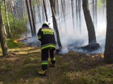 Pożar 100 hektarów lasów w powiecie grójeckim gasili strażacy z Łódzkiego. Trwa dogaszanie pogorzeliska w Żdżarach[ZDJĘCIA]