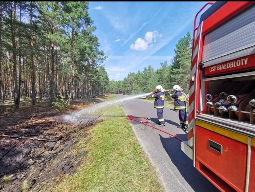 Pożar przy drodze powiatowej Chocz - Białobłoty