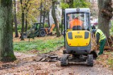 Rewitalizacja Parku Miejskiego Marii i Lecha Kaczyńskich w Trzebnicy. Rozpoczęły się prace. Sprawdźcie co będzie robione [zdjęcia]