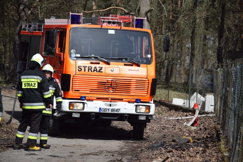 Pożar lasu w Świeszynie w gminie Miastko (WIDEO, FOTO)