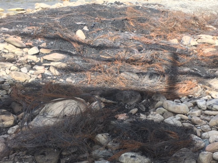 Bomba ekologiczna w Lipowej! Ktoś spalił kilkadziesiąt opon tuż przy rzece [ZDJĘCIA]