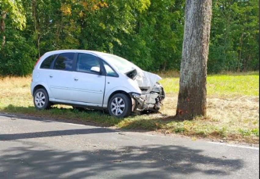 Kierujący samochodem osobowym uderzył w przydrożne drzewo