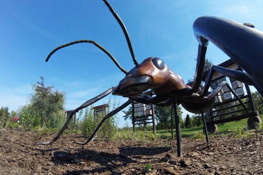 Park sensoryczny przy ulicy Zawilcowej w Lublinie