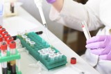 Koronawirus. Testy wykonane pracownikom i pacjentom szpitala w Kościerzynie nie potwierdziły zakażenia SARS-CoV-2. Potrzebne kolejne badanie