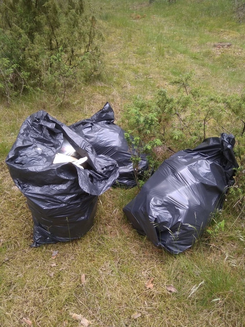 Gmina Lubichowo: dzikie wysypisko śmieci w lesie w Wilczych Błotach [ZDJĘCIA] 