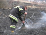 Groźne pożary traw w powiecie wejherowskim