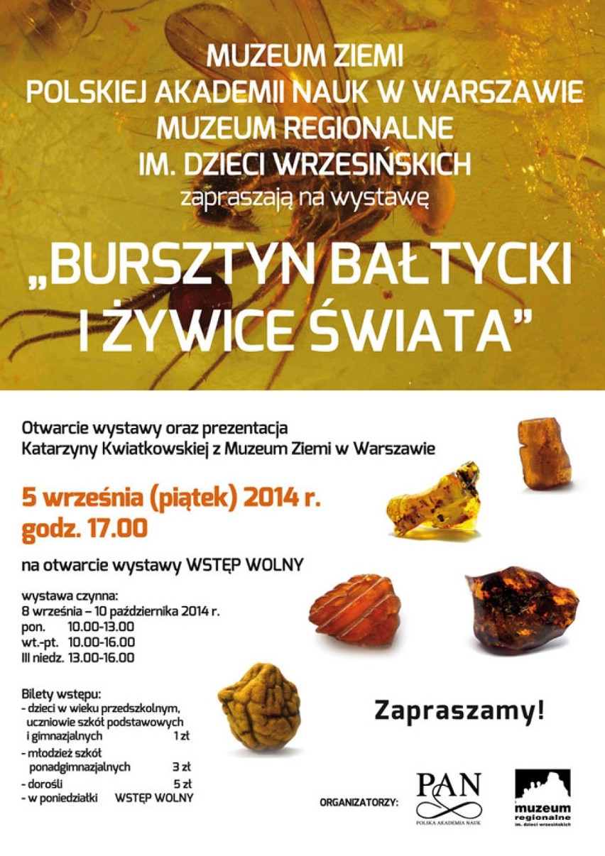 "Bursztyn bałtycki i żywice świata" - 5 września o godz....
