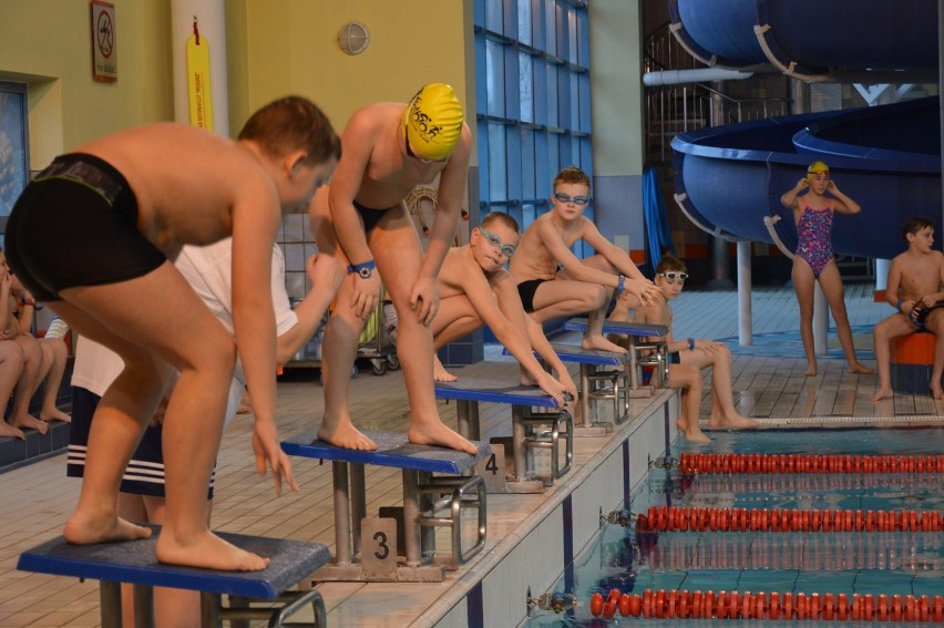 WOŚP 2019 Żary:  Na Wodniku też pływali dla dzieci i bez focha. Zawody pływackie w dniu finału to żarska tradycja [ZDJĘCIA]