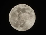 Międzyrzecz: tak księżyc dokazywał ostatniej nocy. Nasi Czytelnicy zrobili mu zdjęcia