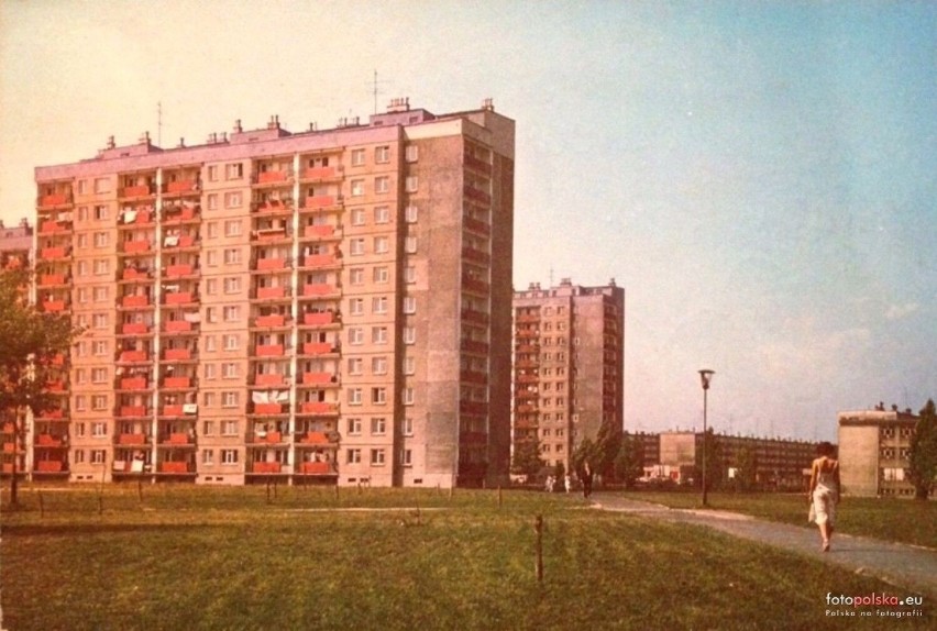 Osiedle Lenina - pierwsze wieżowce w Stalowej Woli