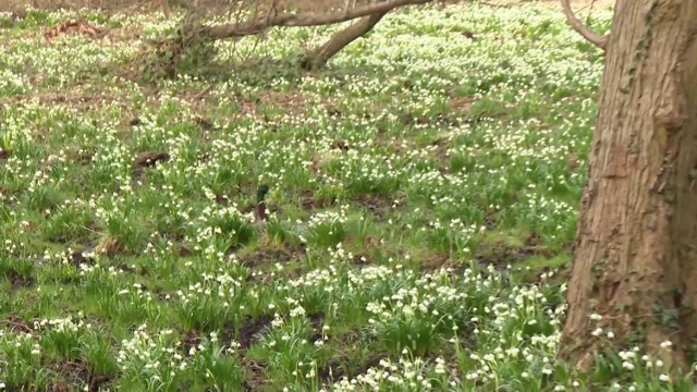 Odwiedźcie arboretum!