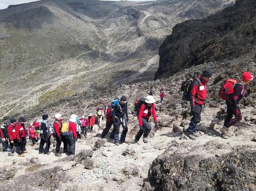 Himalaista z Gliwic poprowadził wyprawę charytatywną na Kilimandżaro