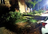 Nocna nawałnica nad Oświęcimiem i powiatem oświęcimskim. Połamane drzewa, uszkodzone samochody i dachy. Zdjęcia
